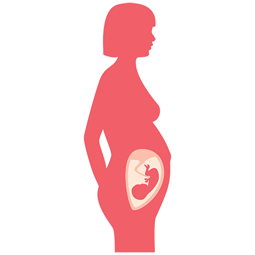 سه ماه دوم بارداری