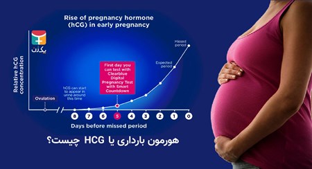 هورمون بارداری یا HCG چیست؟